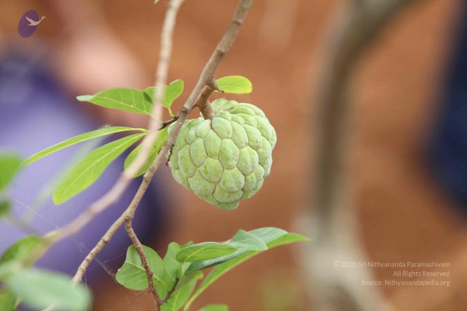 20160911 Photo 1808 1nLBv MiOs dA8PmDAtJLUplrMPNJzB16.JPG