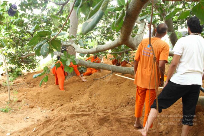 20160911 Photo 1820 16ER1aMNvE5U9hV5KS4jQdR-ViHEFJJ9z.JPG