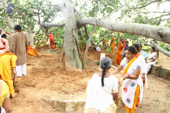 20160911 Photo 1847 1C36kyynmGFlzgSo35GI044YkNN6Lm7l4.JPG