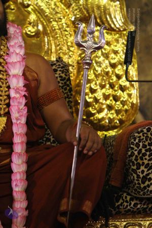 20160917 Photo 1005 1EHFY5LcoYZD8C1K-aHxV0fhsEydyLhhy.JPG