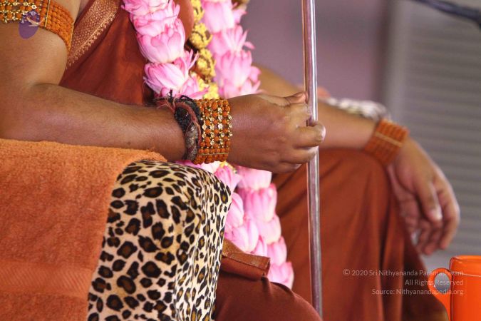 20160917 Photo 1067 1CgleG6zyZ6Le-8Akk5TshxrPSeFKApyu.JPG