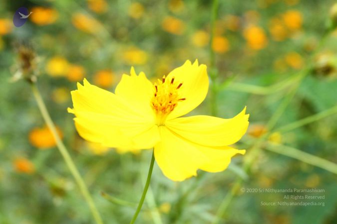 20160918 3946 CMP WM.jpg