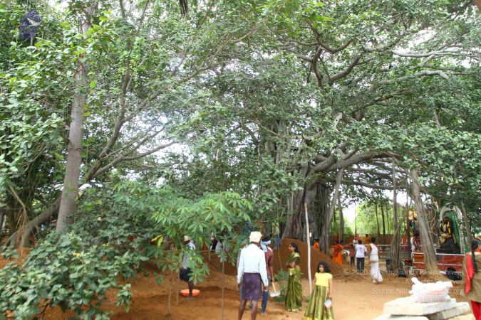 20160918 3949 CMP WM.jpg