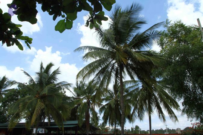 20160918 3970 CMP WM.jpg