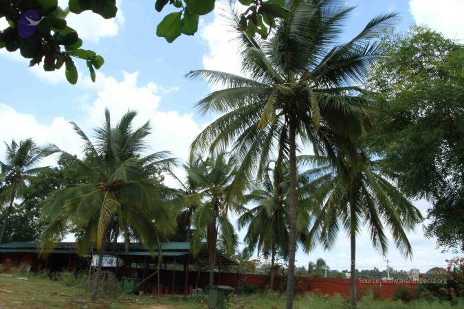 20160918 3971 CMP WM.jpg