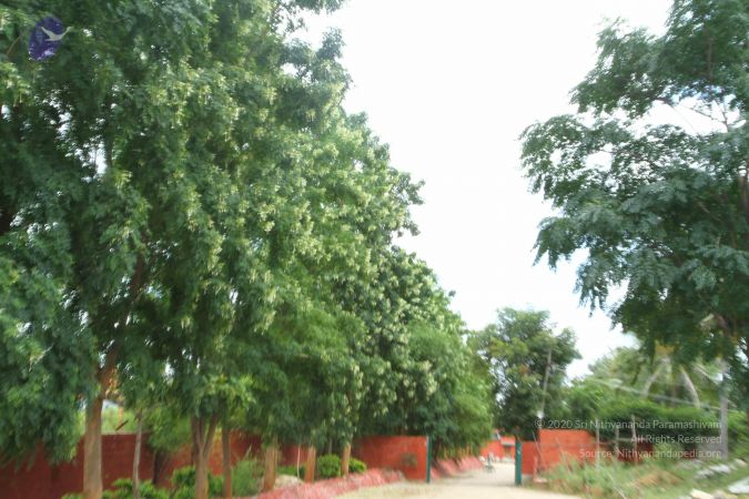 20160918 3972 CMP WM.jpg