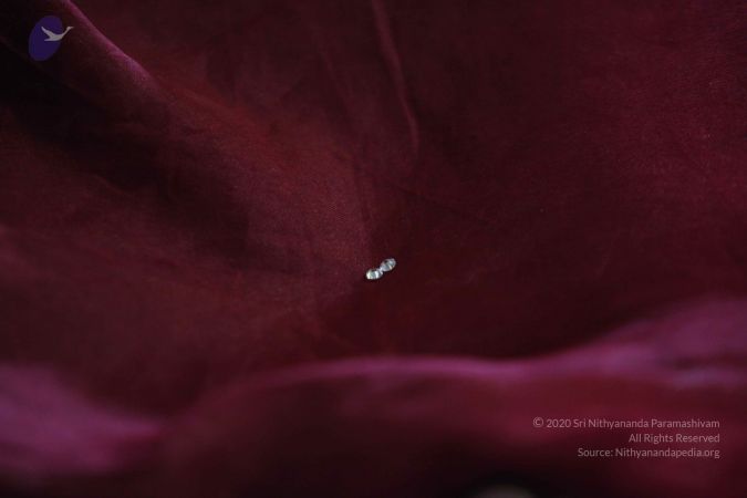 20160922 Photo 1178 1jhHpnMbT5V6l n2ZehTISxtJwxr1B11P.JPG