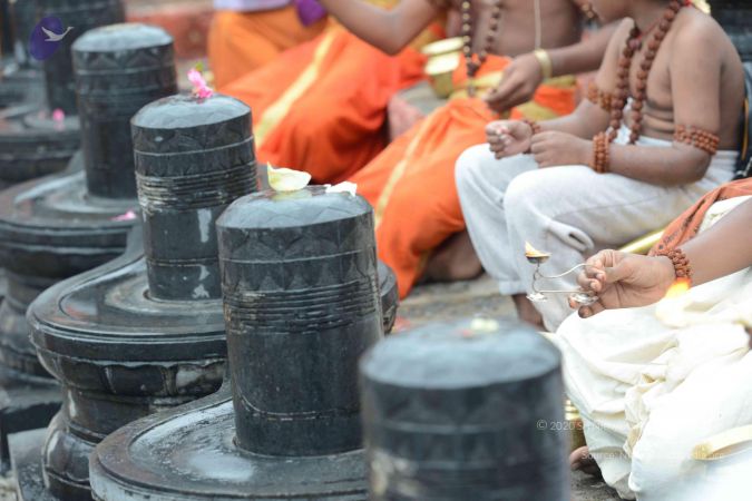 20160926 Photo 1029 1mj5BDO6VjGNRyhNjlA58-RkPecJMpflI.JPG