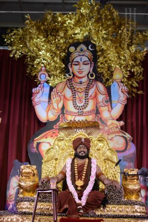 20160926 Photo 1100 1lt5yp4MPqrRihwJXffFxOMk6-mYvnNqJ.JPG