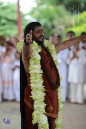 20160926 Photo 1140 1bEOrwUJFqkAXsw88AFjCwOgGwf3gYj01.JPG