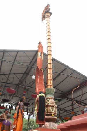 20160926 Photo 1196 1-DD-B4nZTxPw6kkzOHoHJuuUQTL4bVhA.JPG