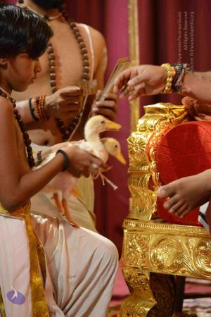 20160928 Photo 1039 1H 7TubF2iRemkYw9Rx1NrX7T qXZnkRj.JPG