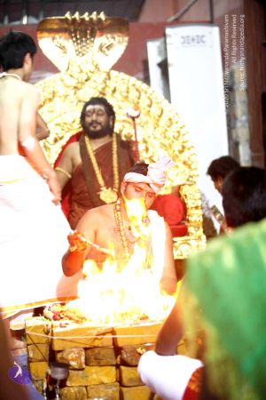 20160929 Photo 1143 13j36-1hmoi5Mrz007zXC244s9AeoUxNf.JPG