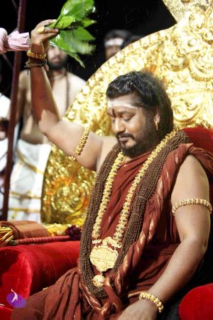 20160929 Photo 1155 1RlR7lO6-oI5OkTYnc56A0GxmdoI7oHEO.JPG