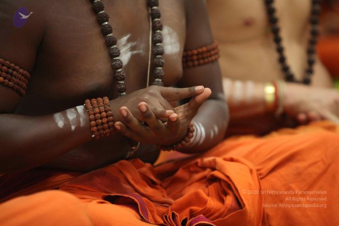 20160930 Photo 1285 1xlKkei9YswysisL2MHC7FOpYMByLFICv.JPG