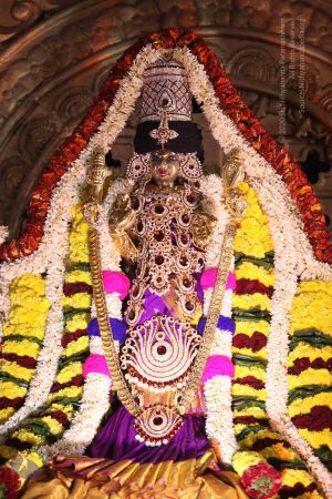 20161002 Photo 1022 1jOsOyIFOYEuj9kfXJyfheUN6XBA3fQeL.JPG