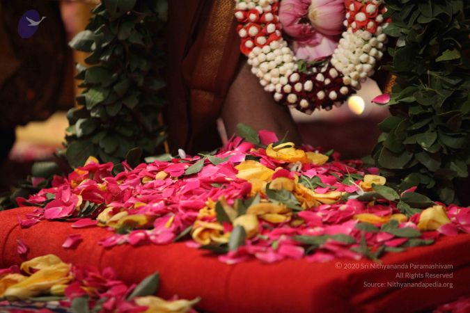 20161002 Photo 1140 1c27JdFOCiRM7oXPjnEDL1ny0l-FfhsQP.JPG