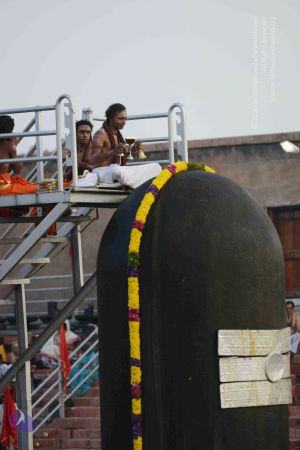 20161003 Photo 1015 1cu96bivJNHsdOClWznWRoDSl3Uo7moYl.JPG