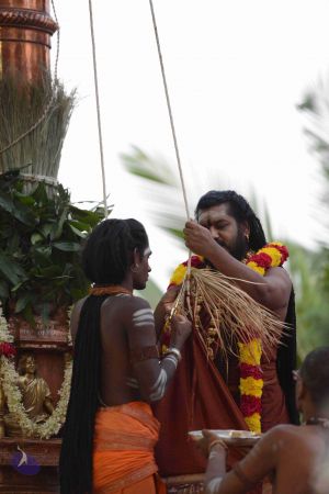 20161003 Photo 1112 1c-C9QKn5AngRx-pWZytPiSO1Y49-8db6.JPG