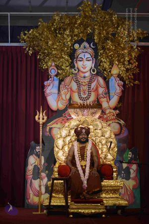 20161004 Photo 1115 1MFH-Juk4GxeYtEvZGVlWHfjbCOk3YaVD.JPG