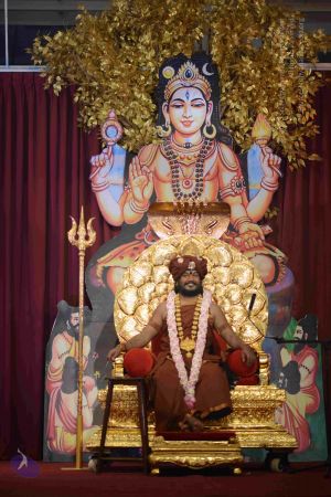 20161004 Photo 1116 1DWmhTgWY06BjxhuuVVUXbefUOClerCkW.JPG