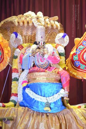 20161004 Photo 1145 15HOMITRMpesXx2IG84EwNjR0zgT2duzB.JPG