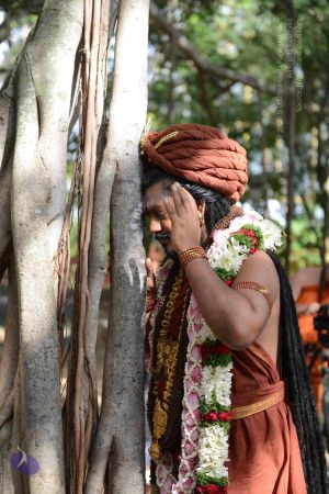 20161008 Photo 1038 1JFsu0m8-dUOI73aGIUyHGwUVd 5UoeXL.JPG