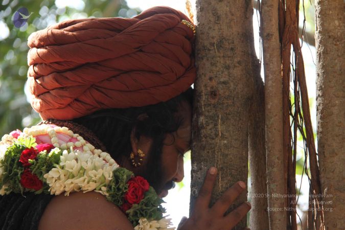 20161008 Photo 1193 18b6A4HWE1BmC0nFy2XpaFzwDQyk2ekgu.JPG