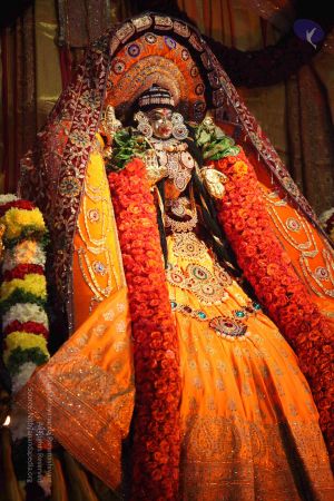 20161009 Photo 1152 1V-6NLLVF-y3zlqAvBDpJ1MGMtEOPfB0n.JPG