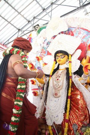 20161011 Photo 1057 1PfOXBv1Y~v8uoRRsNWFdB6fScinHPqz.JPG