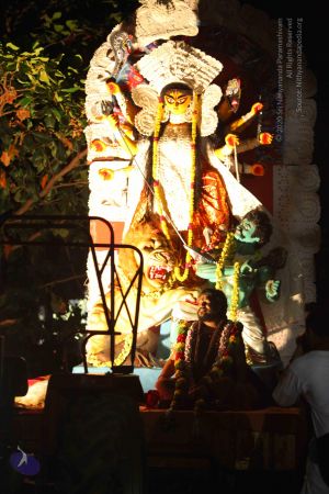 20161011 Photo 1294 1msko2V3Htzcf2h uTXG9DzYGMhzSDlbW.JPG