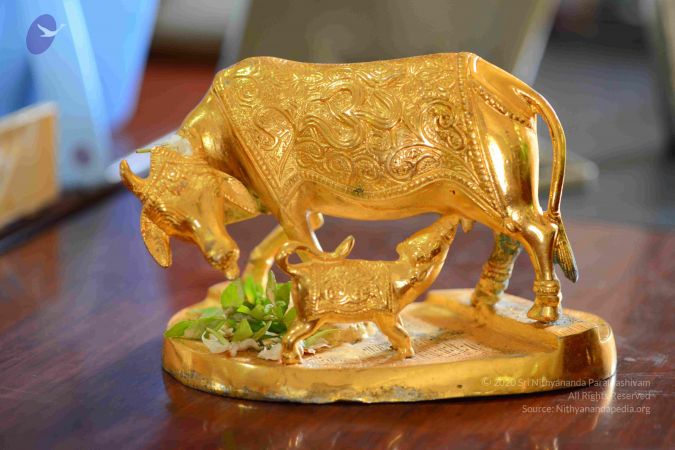 20161012 Photo 1021 1TH3yevsr4NQ8C8lQBVbq5oDFCdIXGdRR.JPG