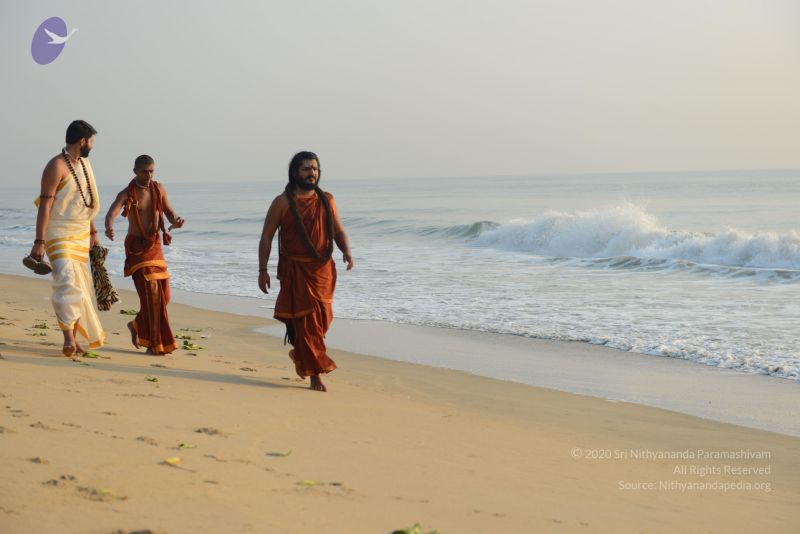 File:20161019 6458 CMP WM.jpg