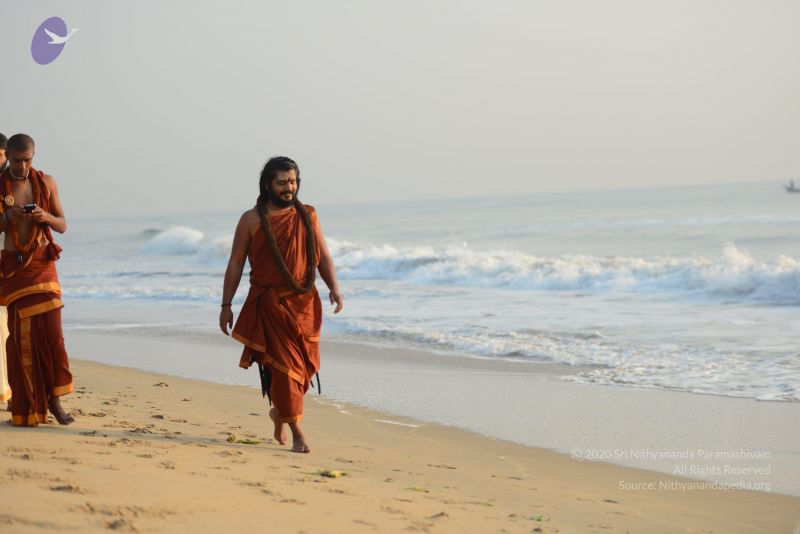 File:20161019 6479 CMP WM.jpg