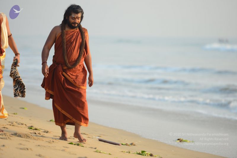 File:20161019 6491 CMP WM.jpg