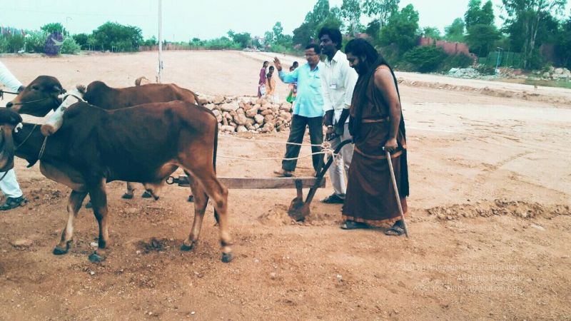 20161026 Photo 1002 1YcEUAkfXaHNyE-wjxrzG-O6BxU1wb80Z.JPG