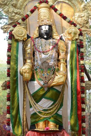 20161026 Photo 1091 1uPWOu6livINZCMM OQt2-jafai-cEqFZ.JPG