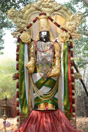 20161026 Photo 1093 1AIhVIUEFsy0zFMgcV6s3vI5EX2Jm-7re.JPG