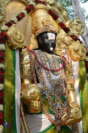 20161026 Photo 1097 12vtcQGeqgKr1upvvOeyPBrXmsNfpn-3-.JPG