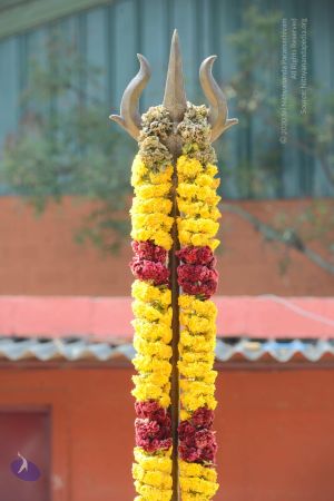 20161026 Photo 1120 1mVV2Rtp6uC8FmWq4PTxaH3iJS1gclmwe.JPG