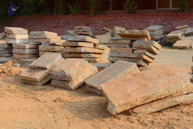 20161026 Photo 1239 1y d5n0VYYoioUhia1Lb28W0OKPOXnvJy.JPG