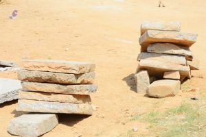 20161028 Photo 103 1NyZH-RPcMBTYuoECKsbQpx9jEbOvPtFx.jpg