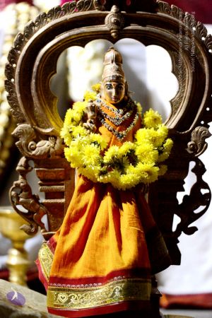 20161029 Photo 1085 1pS87rnpG7l -XeT3hWHJsm48rU1J6BgD.JPG