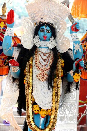 20161029 Photo 1121 15CPM-1lcvNfBCx-e6oKtG7jBTKDAs60p.JPG