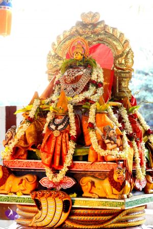 20161029 Photo 1123 1Qpxnga9DKt5wp-UWqVHJNlDSvmrBnhIh.JPG