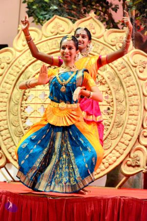 20161029 Photo 1151 1bpI67Qqxm2xtaTtpzZV9N K0pN-EXc0r.JPG