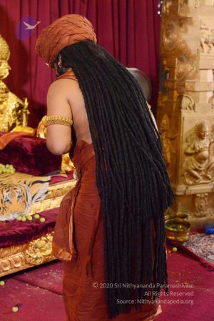 20161029 Photo 1312 1ME4RGUEjCbSn86J1I9EcJ-QsDPhJ-qbP.JPG