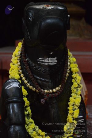 20161029 Photo 1330 1-v76EWRmm1H FdayiSQ7AWLhhpuAsK9i.JPG