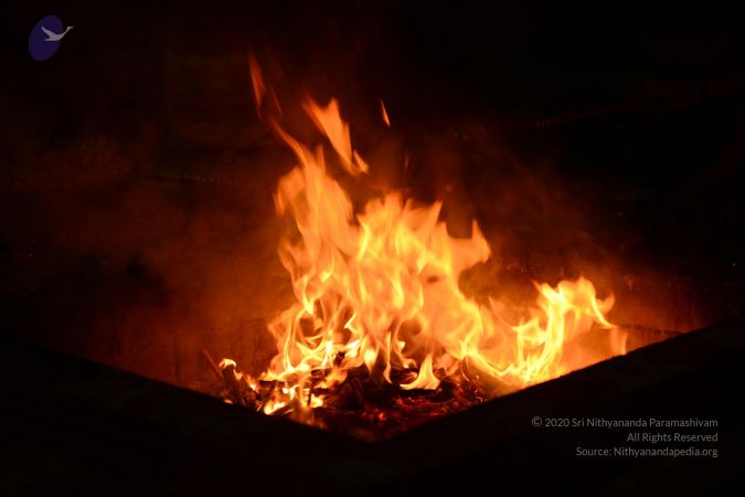 20161029 Photo 1334 1AzgIbuDku93rZi9x0cxAY1NG7 KW4Ffe.JPG