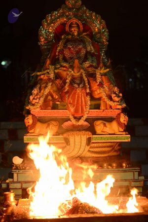 20161029 Photo 1404 1mRHo9e7O20EjmtqQCFZhb52AMTQ MG8Q.JPG